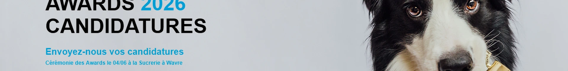 WBCOM Awards 2026 cover image