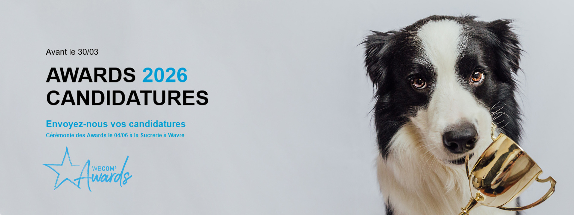 WBCOM Awards 2026 cover image